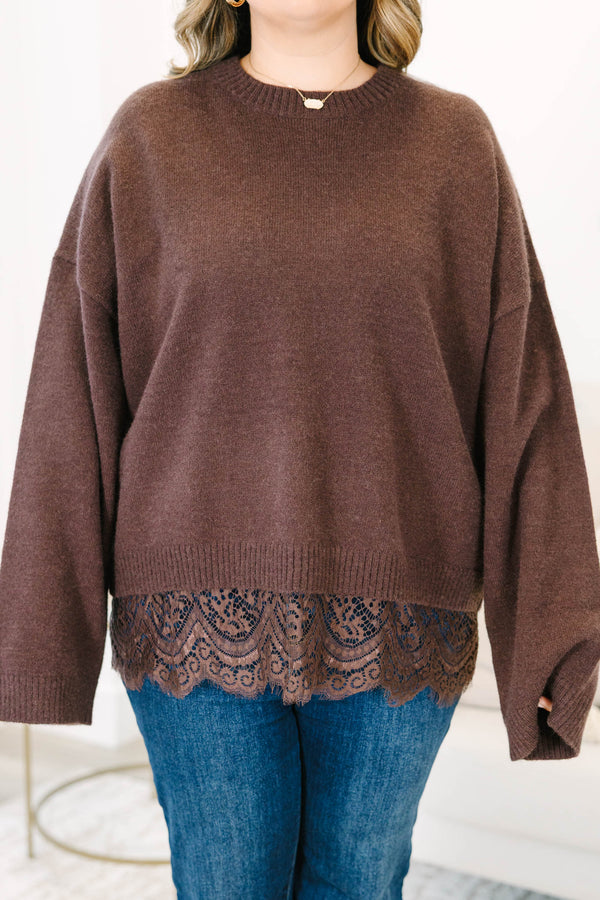 Plus Size brown crewneck sweater with long sleeves and a delicate lace trim at the hem.