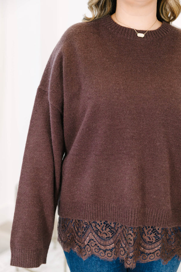 Plus Size brown crewneck sweater with long sleeves and a delicate lace trim at the hem.