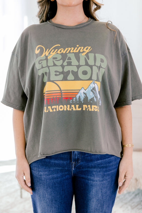 Chic Soul plus size clothing, charcoal grey slightly cropped vintage style national park tee 