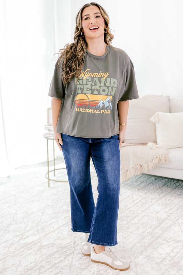 Chic Soul plus size clothing, charcoal grey slightly cropped vintage style national park tee 