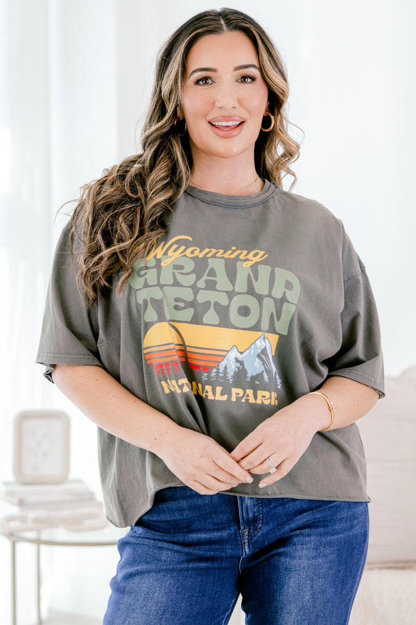 Chic Soul plus size clothing, charcoal grey slightly cropped vintage style national park tee 