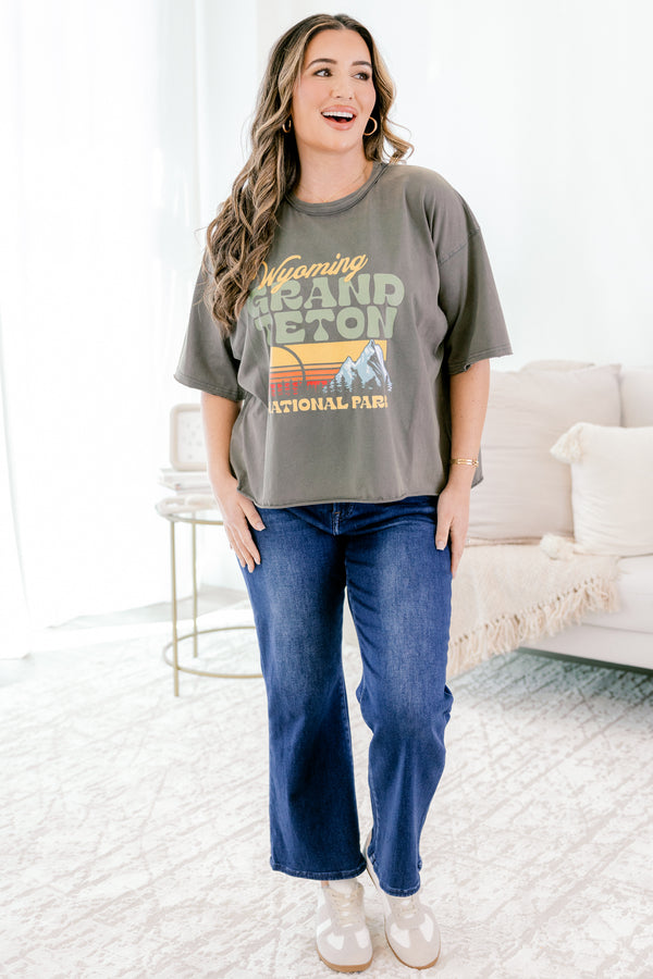 Chic Soul plus size clothing, charcoal grey slightly cropped vintage style national park tee 