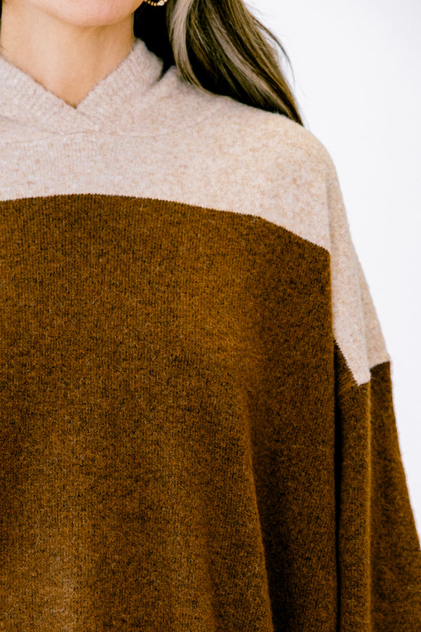 Chic Soul plus size clothing, oatmeal colored sweater with brown striped accents 