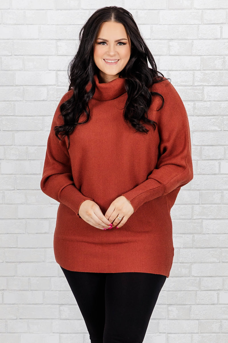 PLUS SIZE LONG SLEEVE TURTLENECK