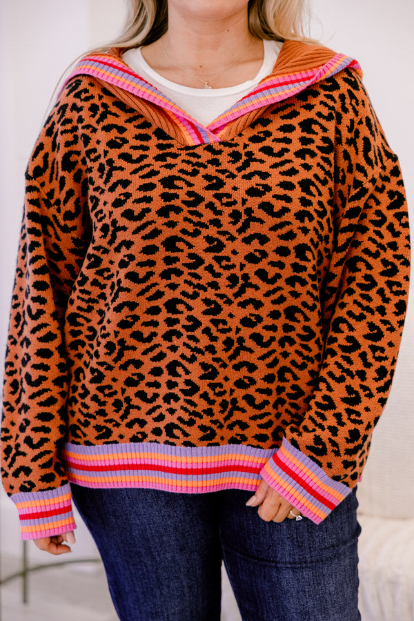Chic Soul plus size clothing, leopard sweater with a multicolor stiped band going around the end of the sweater and sleeves as well as the neckline