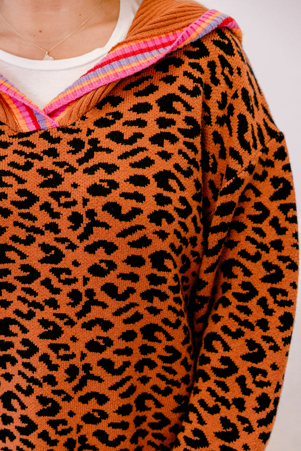 Chic Soul plus size clothing, leopard sweater with a multicolor stiped band going around the end of the sweater and sleeves as well as the neckline