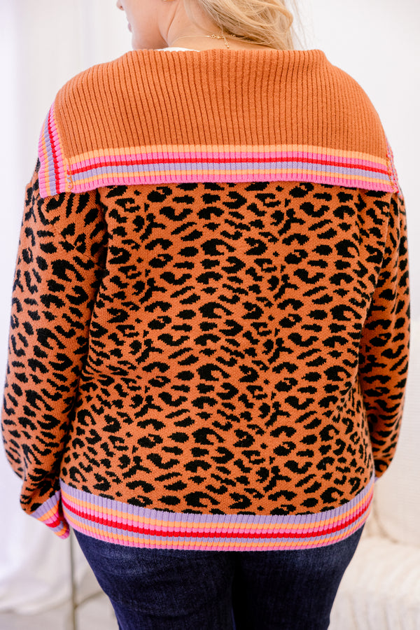 Chic Soul plus size clothing, leopard sweater with a multicolor stiped band going around the end of the sweater and sleeves as well as the neckline