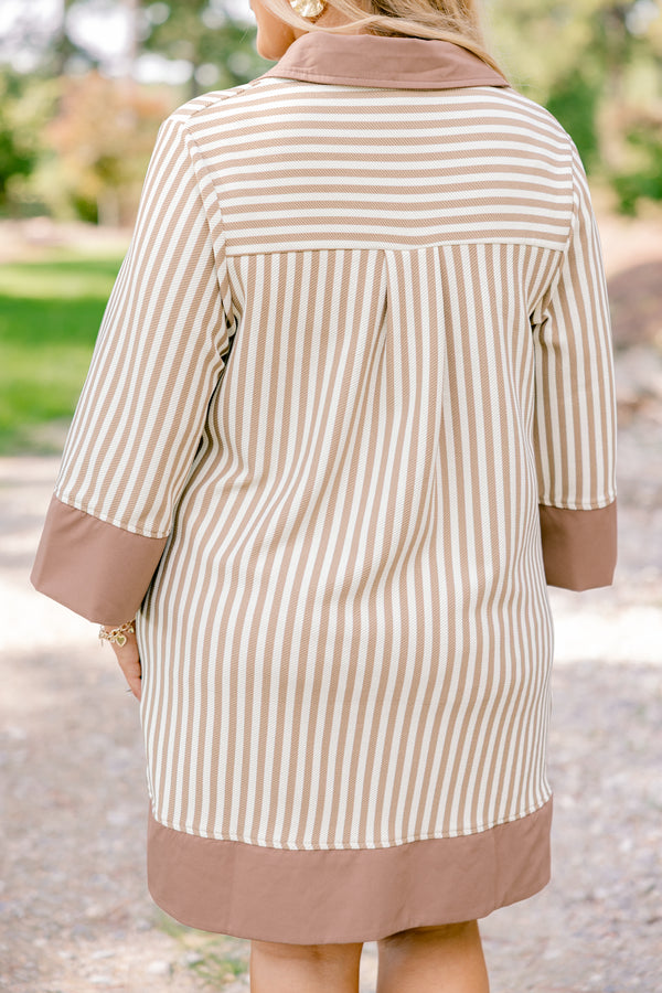 Chic Soul plus size clothing, white and brown stripe short dress with brown border on sleeves, collar, and bottom of the dress