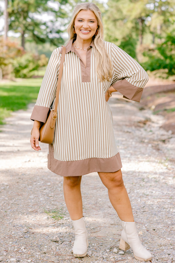 Chic Soul plus size clothing, white and brown stripe short dress with brown border on sleeves, collar, and bottom of the dress