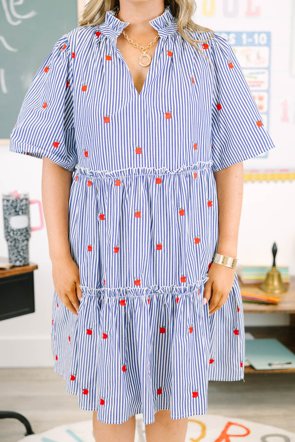 Plus size navy and white striped tiered dress with red apple embroidery and a flowy fit.
