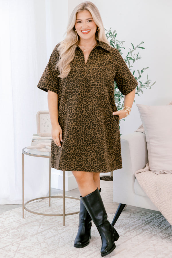 Chic Soul plus size clothing, brown leopard short sleeve short dress with collar and v-neckline