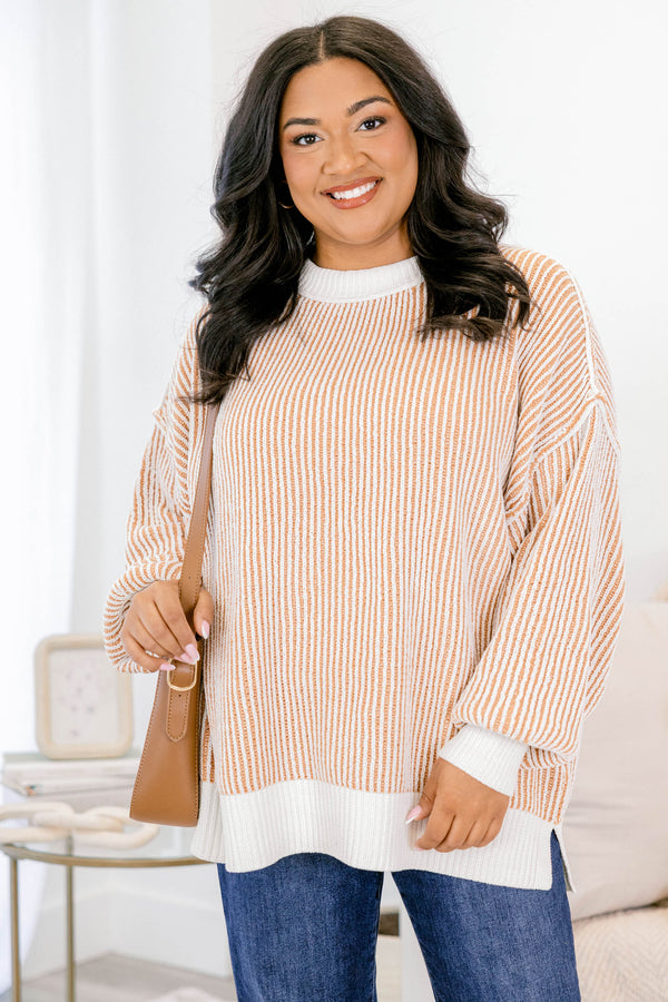 Chic Soul plus size clothing, brown and white striped sweater with an all white collar, cuffs, and trim
