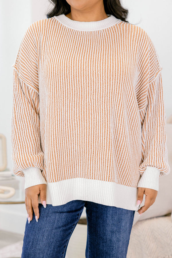 Chic Soul plus size clothing, brown and white striped sweater with an all white collar, cuffs, and trim