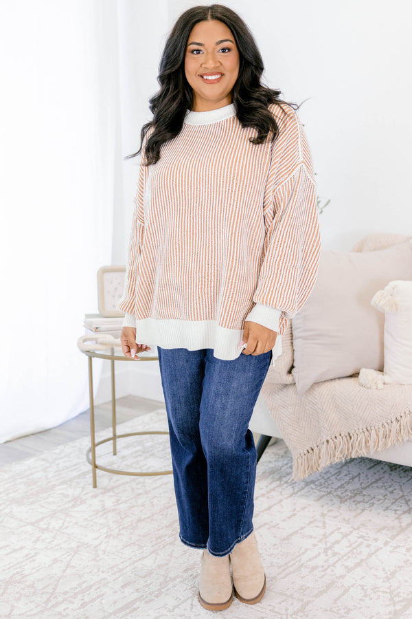 Chic Soul plus size clothing, brown and white striped sweater with an all white collar, cuffs, and trim