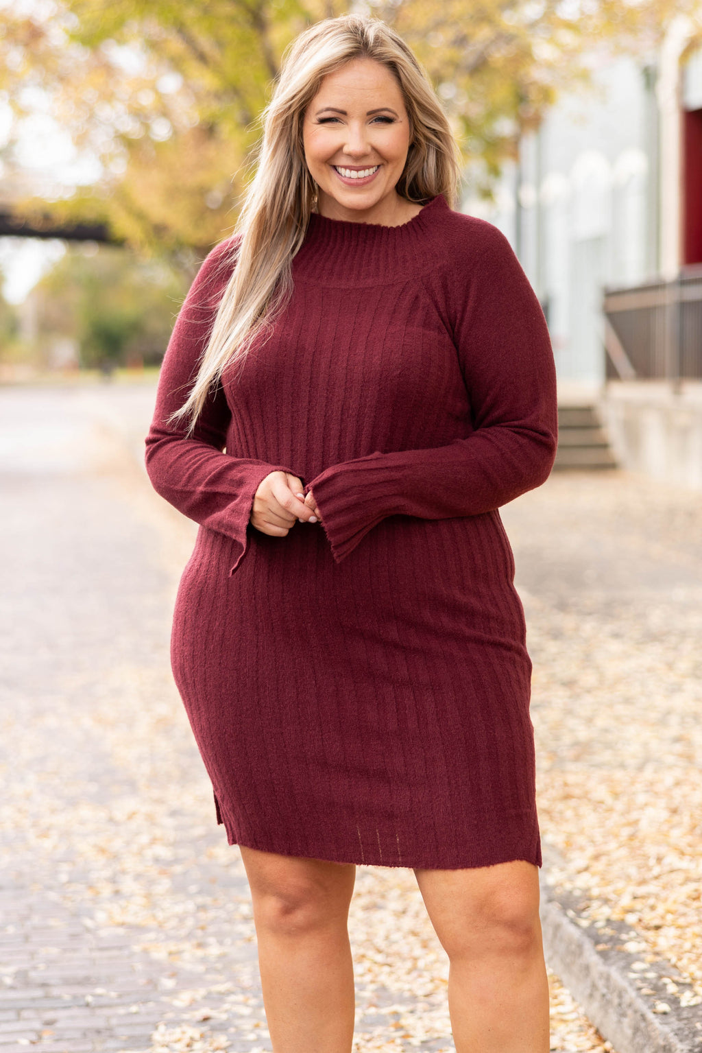 Shake It Out Dress Burgundy Chic Soul